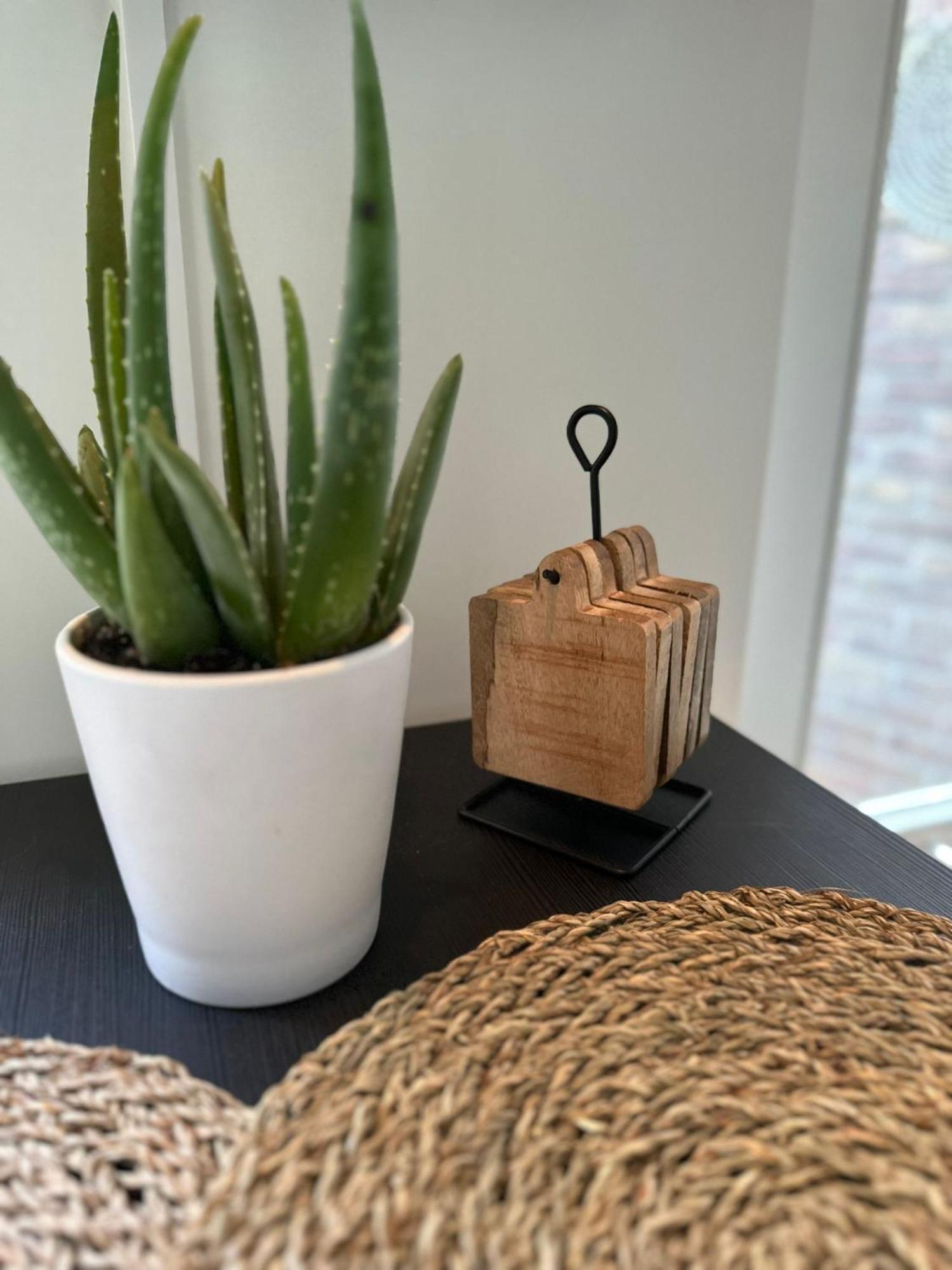 Hello Noordwijk - Studio Pietheinplein 1 Exteriér fotografie